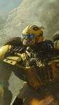 Bumblebee Android Wallpaper