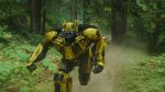 Bumblebee Wallpaper