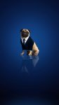 Men in Black International 2019 Full Movie Poster