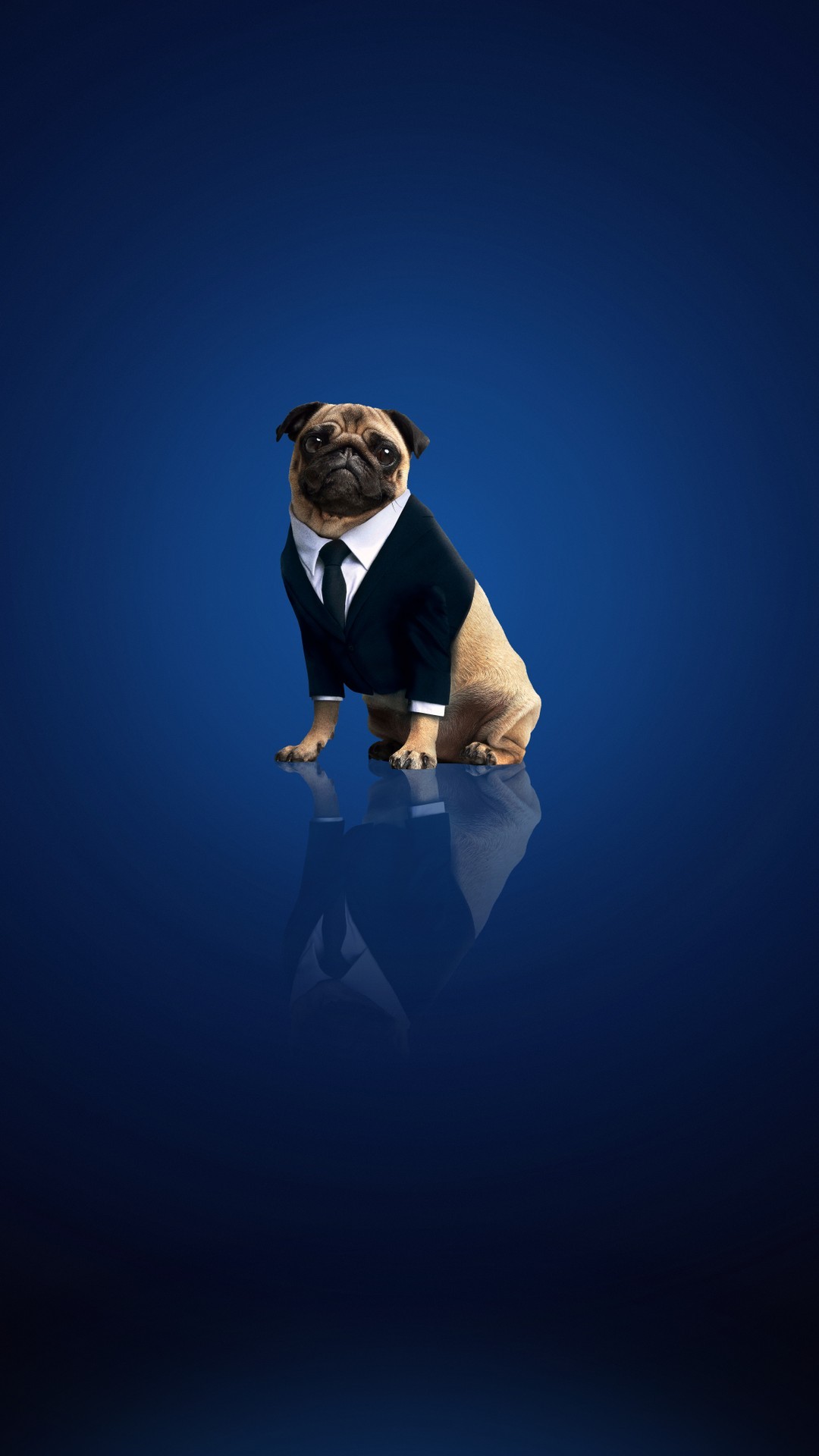 Men in Black International 2019 Full Movie Poster with high-resolution 1080x1920 pixel. You can use this poster wallpaper for your Desktop Computers, Mac Screensavers, Windows Backgrounds, iPhone Wallpapers, Tablet or Android Lock screen and another Mobile device Men in Black International 2019 Full Movie Poster with high-resolution 1080x1920 pixel. You can use this poster wallpaper for your Desktop Computers, Mac Screensavers, Windows Backgrounds, iPhone Wallpapers, Tablet or Android Lock screen and another Mobile device