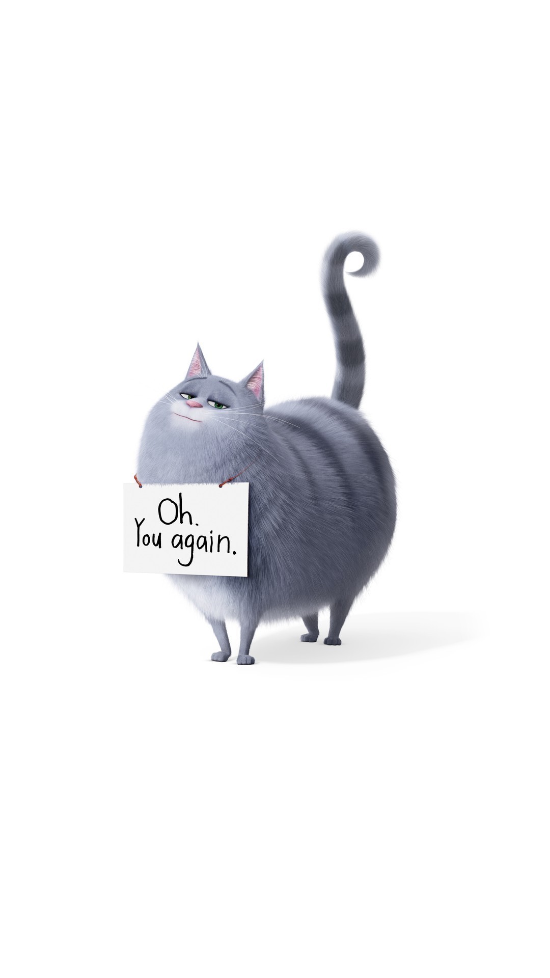 The Secret Life of Pets 2 iPhone 6 Wallpaper with high-resolution 1080x1920 pixel. You can use this poster wallpaper for your Desktop Computers, Mac Screensavers, Windows Backgrounds, iPhone Wallpapers, Tablet or Android Lock screen and another Mobile device The Secret Life of Pets 2 iPhone 6 Wallpaper with high-resolution 1080x1920 pixel. You can use this poster wallpaper for your Desktop Computers, Mac Screensavers, Windows Backgrounds, iPhone Wallpapers, Tablet or Android Lock screen and another Mobile device