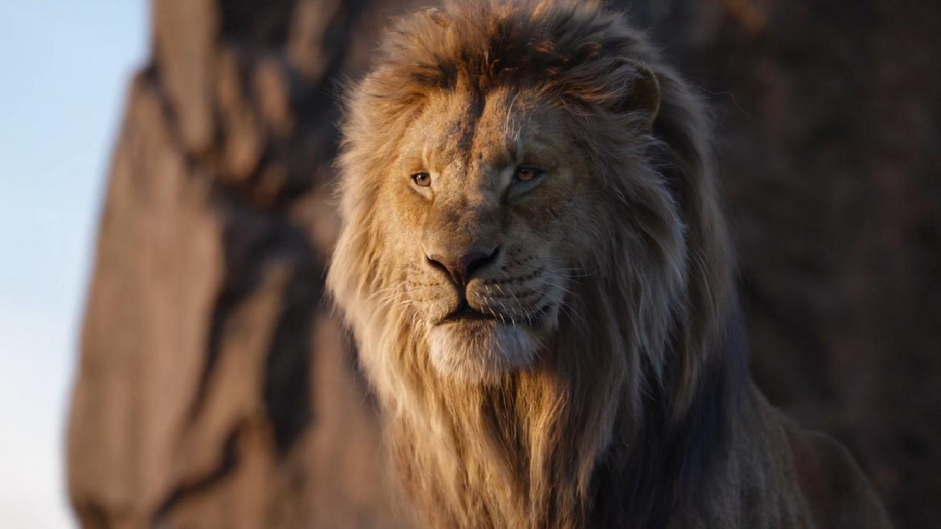 The Lion King 2019 Poster Wallpaper with high-resolution 1920x1080 pixel. You can use this poster wallpaper for your Desktop Computers, Mac Screensavers, Windows Backgrounds, iPhone Wallpapers, Tablet or Android Lock screen and another Mobile device The Lion King 2019 Poster Wallpaper with high-resolution 1920x1080 pixel. You can use this poster wallpaper for your Desktop Computers, Mac Screensavers, Windows Backgrounds, iPhone Wallpapers, Tablet or Android Lock screen and another Mobile device