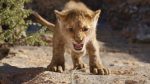 The Lion King 2019 Wallpaper HD