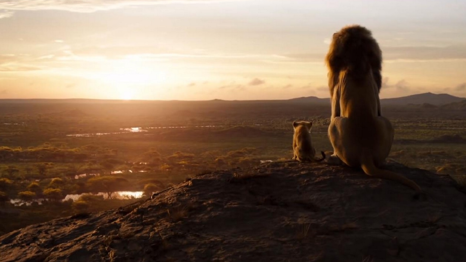 The Lion King 2019 Wallpaper with high-resolution 1920x1080 pixel. You can use this poster wallpaper for your Desktop Computers, Mac Screensavers, Windows Backgrounds, iPhone Wallpapers, Tablet or Android Lock screen and another Mobile device The Lion King 2019 Wallpaper with high-resolution 1920x1080 pixel. You can use this poster wallpaper for your Desktop Computers, Mac Screensavers, Windows Backgrounds, iPhone Wallpapers, Tablet or Android Lock screen and another Mobile device