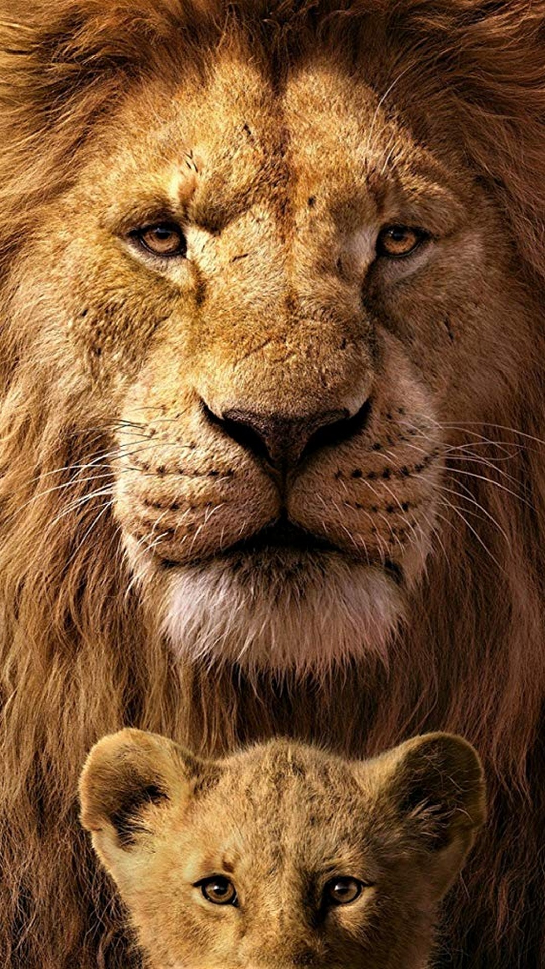 The Lion King iPhone 6 Wallpaper with high-resolution 1080x1920 pixel. You can use this poster wallpaper for your Desktop Computers, Mac Screensavers, Windows Backgrounds, iPhone Wallpapers, Tablet or Android Lock screen and another Mobile device The Lion King iPhone 6 Wallpaper with high-resolution 1080x1920 pixel. You can use this poster wallpaper for your Desktop Computers, Mac Screensavers, Windows Backgrounds, iPhone Wallpapers, Tablet or Android Lock screen and another Mobile device