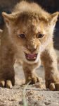 The Lion King iPhone Wallpaper